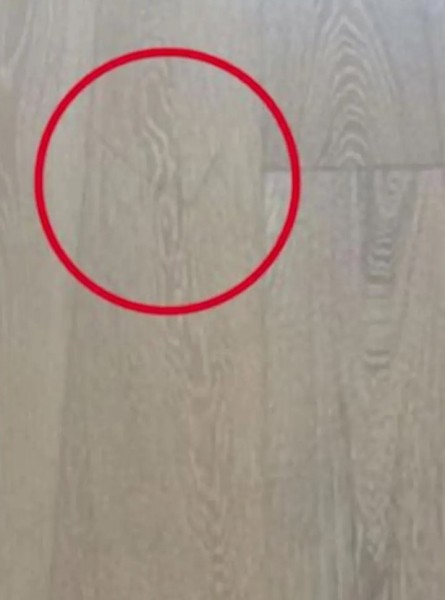 Хозяин квартиры требует с арендатора более $600 за небольшую царапину на полу