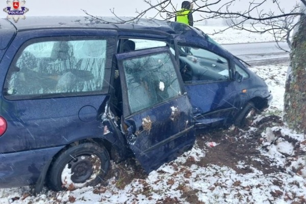 В Польше белорус на Seat слетел с дороги и врезался в дерево