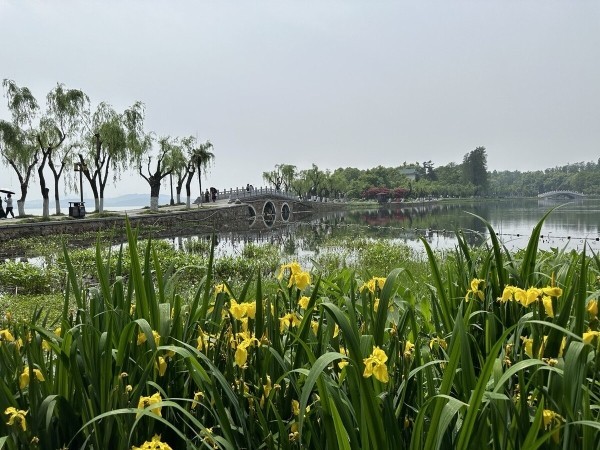 На каких машинах гоняют сами китайцы? Удивитесь, но в топе не только бренды из КНР!