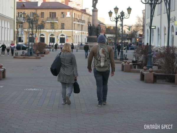 В Беларуси посчитали разницу между зарплатами мужчин и женщин